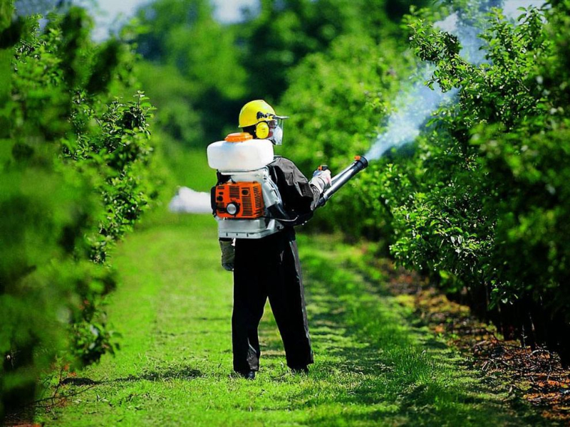 Pavasarinis medžių purškimas