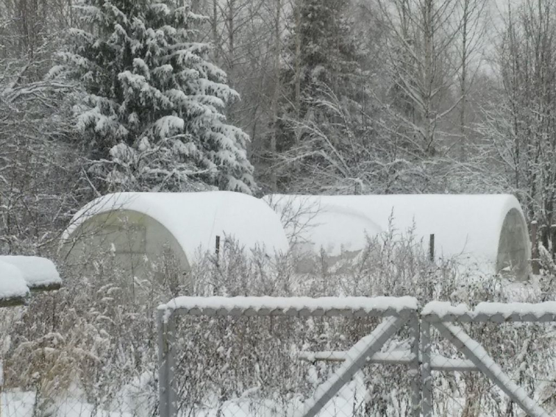 Šiltnamio priežiūra žiemą