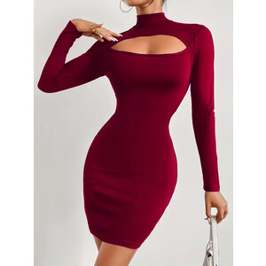 Stilinga moteriška suknelė, bordo spalvos