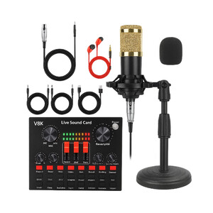 Mikrofonų rinkinys su V8K garso plokšte, auksinės spalvos