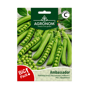 Raukšlėtųjų žirnių sėklos AMBASSADOR, 20 g